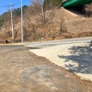 맛기행 | 가평 금강산 숯불닭갈비 막국수 맛 기행 후기