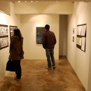 디자인 선샘