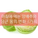 아침에당근 티스토리