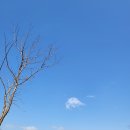 바쁘디 바쁜 봄날의 일상🌸: 연남동, 밀키트, 잦은 외출
