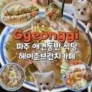 누나김밥식당 | 파주 헤이리마을 애견동반 식당 헤이준브런치카페 쌀국수, 분짜, 월남쌈 찐맛집