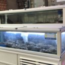 골목아구찜(연산동) 이미지