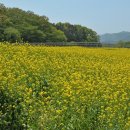 신라고등학교 이미지