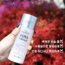 조바 이미지