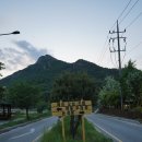 부여애견 이미지