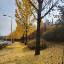 솟을집 한옥스테이 이미지