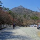 영춘삼거리~영춘교차로 이미지