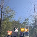 공주계곡이레캠핑장