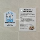 중앙이용원 | 창원 가로수길 신상맛집 반려동물 동반 용호동카페 로슈커피