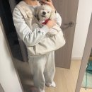 리김밥 문래점 | [1월 일상] happy birthday to me!