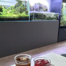 신12세천 | 대구 데이트 가볼만한곳 세천 카페 트라이톤 플랜트갤러리