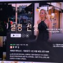 11월 - K 푸드 페스타/ 대전 당일치기/ 연남동
