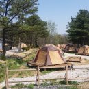포천자연마을 서울캠핑장 이미지