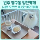 멍친카페 이미지