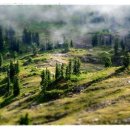 더바른내과의원 이미지