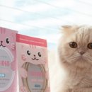 펫츠모리
