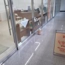 레코드로우 스튜디오 이미지