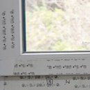 유로레하우 이미지