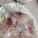 힛또 이미지