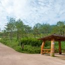 계양산 누리길 이미지