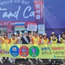 보령청과 이미지