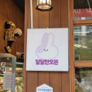 미소농장(생산종류: 고양이) | 구미 산동 치아바타 맛집 당일생산 베이커리 달달한 오븐