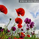 백석한의원 이미지