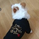 역사를 잊은 민족에게 미래는 없다 이미지