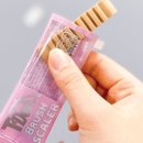 댕댕이연구소 이미지