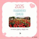 곡성레져문화센터 | 🎈 2025 곡성 심청 어린이대축제, 아이에게 선물하는 가을의 하루
