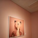 진해야외공연장 | <진해 야외공연장> 멸종위기동물 특별전, 아이랑 가볼만한 특별한 전시.