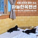 남문토방 애견동반 펜션 | 하동 애견동반 숙소 하늘한옥펜션 삼성궁 10분 거리