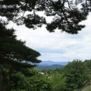 수골 농장 이미지