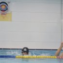 네오키즈스윔 이미지