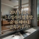 금곡동 LG빌리지 1단지 | 금곡 LG빌리지 방충망 교체 김광규도 놀란 삭은 가루 해결책