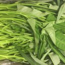 영진농장 이미지