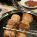 봉고기