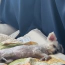 가온그림2 이미지