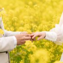 "연애 포기" 韓 청년 세계 최고…여성 10명 중 6명 "관심 없다" 이미지