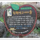용부원2리 이미지