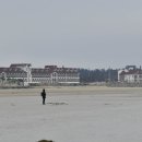 신두리해수욕장 이미지