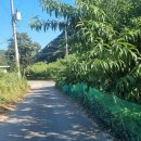 삼매2리 경로당 이미지