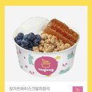 요거트아이스크림의정석창원