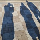 스타벅스시흥프리미엄아울렛(스타벅스시흥P아울렛) 이미지