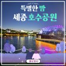 세종호수공원 야간 산책로 | [세종 가볼만한곳] 밤 산책하기 좋은 세종 호수공원 야경 데이트 코스 추천