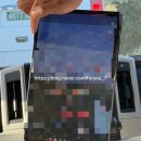 (주)영종베스트투어 | 멜버른 투어 추천 퍼핑빌리 필립아일랜드 마루동물원 예약, 가격, 꿀팁 조이투어 내돈내산 후기