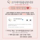 오디세이 동물심장내과 이미지