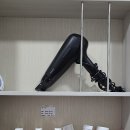 반려견 동반 숙소 용이랑 백호랑
