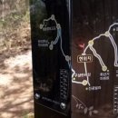 황령산 벚꽃약수터 이미지