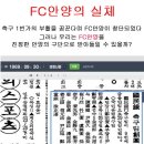 [국내축구 갤러리 펌] FC안양의 실체 이미지